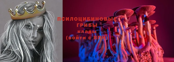 ПСИЛОЦИБИНОВЫЕ ГРИБЫ Новокубанск